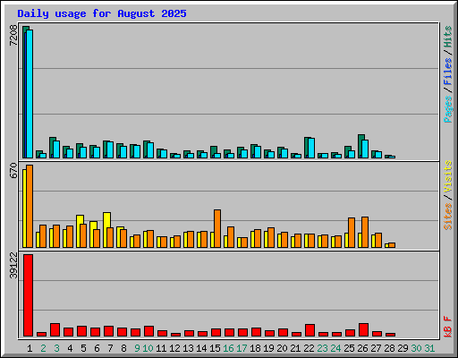 Daily usage for August 2025
