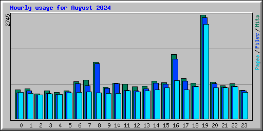 Hourly usage for August 2024