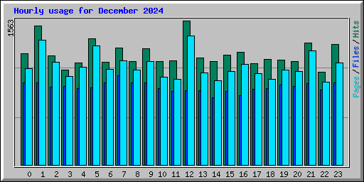 Hourly usage for December 2024