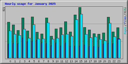 Hourly usage for January 2025