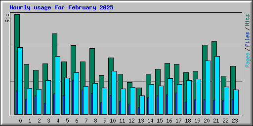 Hourly usage for February 2025