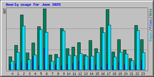Hourly usage for June 2025