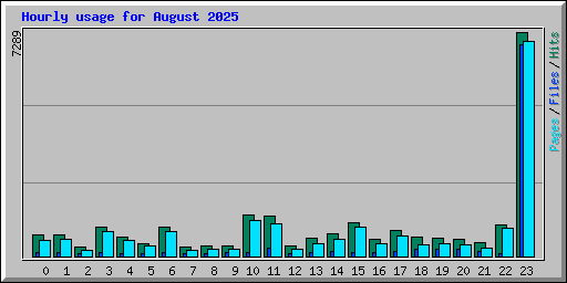 Hourly usage for August 2025