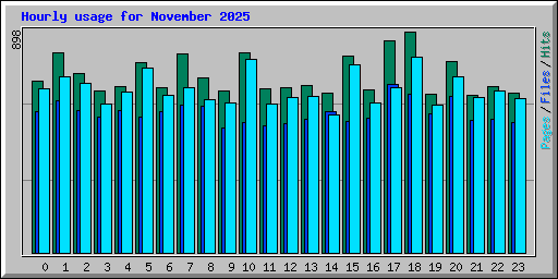 Hourly usage for November 2025