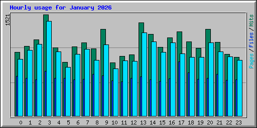Hourly usage for January 2026