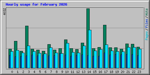 Hourly usage for February 2026