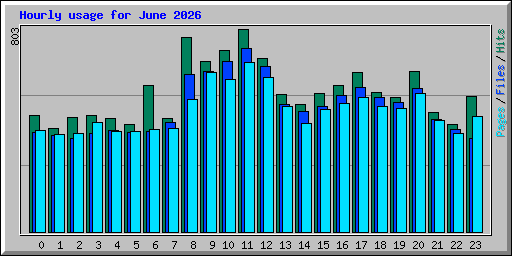 Hourly usage for June 2026