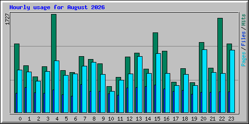 Hourly usage for August 2026