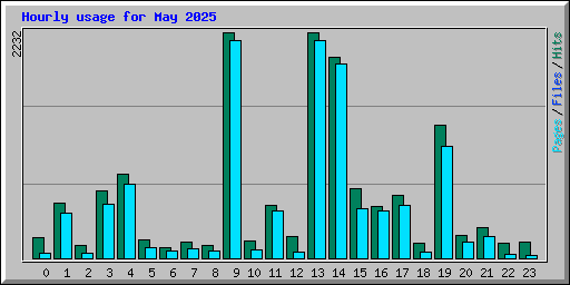 Hourly usage for May 2025