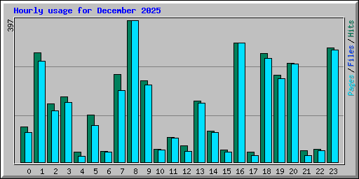 Hourly usage for December 2025