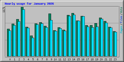 Hourly usage for January 2026