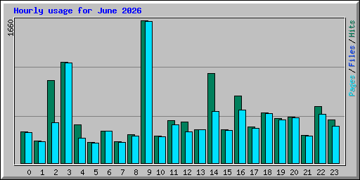 Hourly usage for June 2026