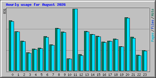 Hourly usage for August 2026